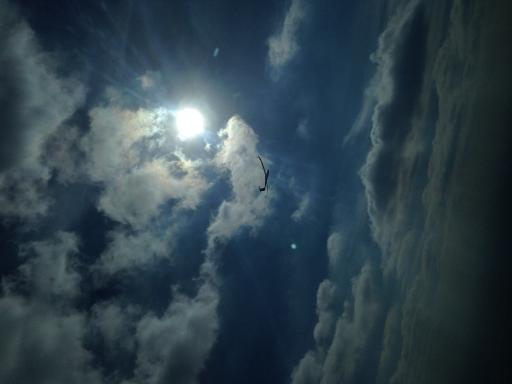 17  Dolfijnend naar de zon