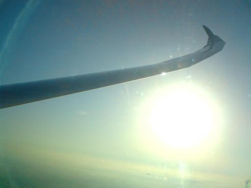 15  In flight love