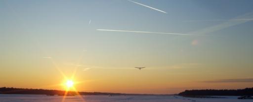101  Zonsondergang weelde