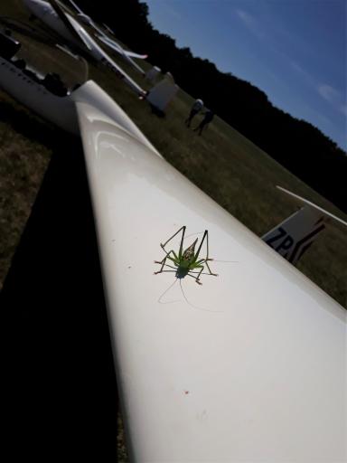 01  Remove bugs before flight