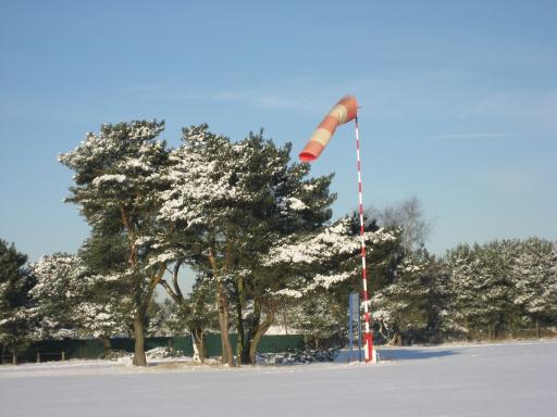 51  Winter 2009